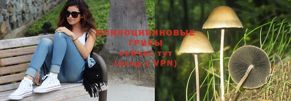 амфетамин Алексин